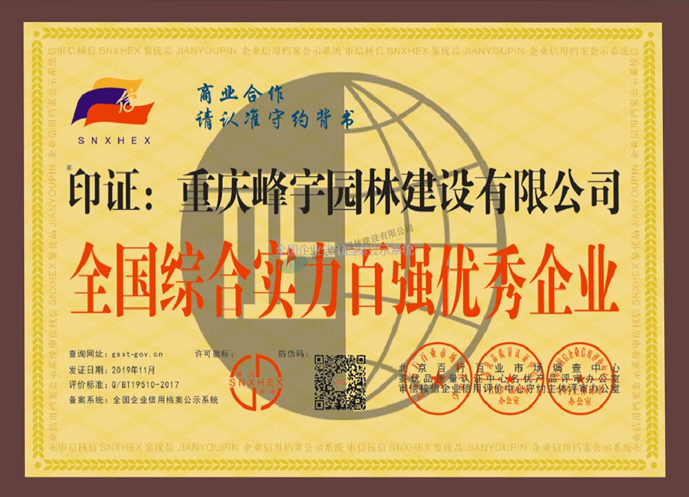 全國綜合實力百強優(yōu)秀企業(yè)